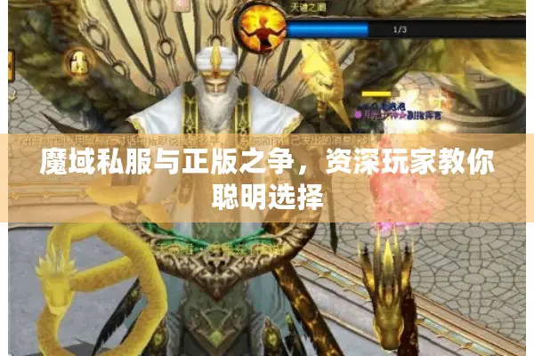 魔域私服与正版之争，资深玩家教你聪明选择