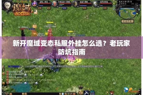 新开魔域变态私服外挂怎么选？老玩家防坑指南