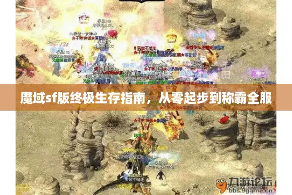 魔域sf版终极生存指南，从零起步到称霸全服