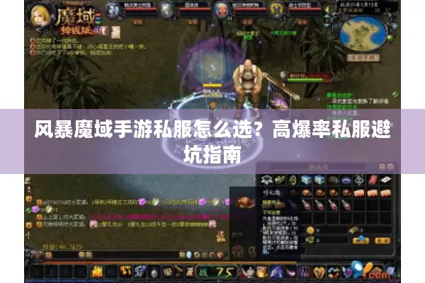 风暴魔域手游私服怎么选？高爆率私服避坑指南