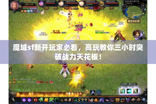 魔域sf新开玩家必看，高玩教你三小时突破战力天花板！