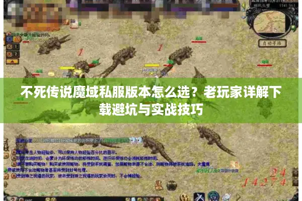 不死传说魔域私服版本怎么选？老玩家详解下载避坑与实战技巧