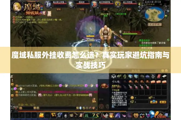 魔域私服外挂收费怎么选？真实玩家避坑指南与实战技巧