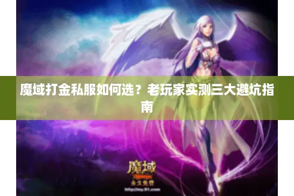 魔域打金私服如何选？老玩家实测三大避坑指南