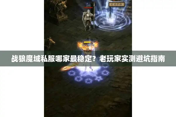 战狼魔域私服哪家最稳定？老玩家实测避坑指南