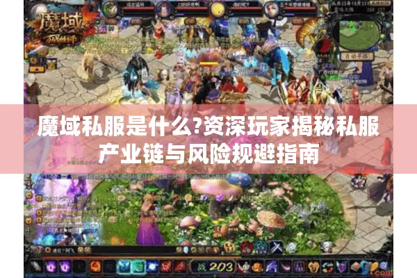 魔域私服是什么?资深玩家揭秘私服产业链与风险规避指南