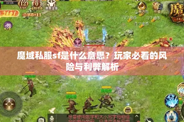 魔域私服sf是什么意思？玩家必看的风险与利弊解析