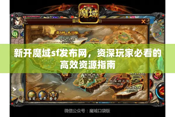新开魔域sf发布网，资深玩家必看的高效资源指南