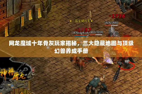 网龙魔域十年骨灰玩家揭秘，三大隐藏地图与顶级幻兽养成手册