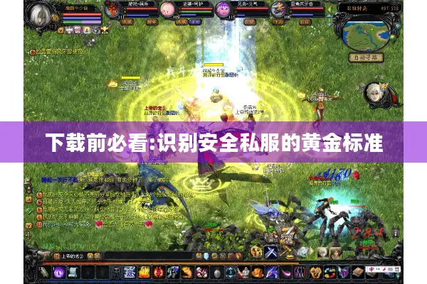 下载前必看:识别安全私服的黄金标准