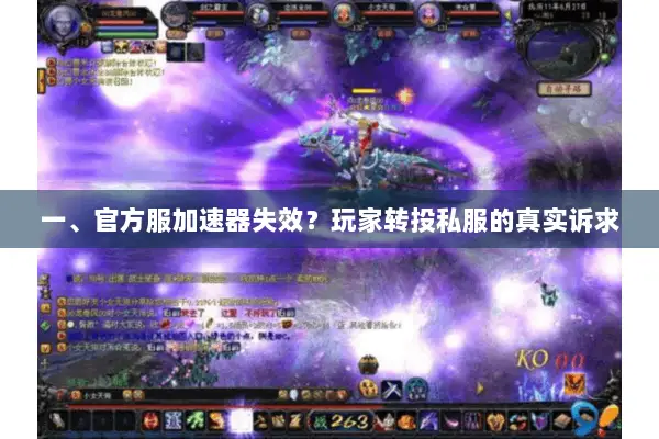 一、官方服加速器失效？玩家转投私服的真实诉求