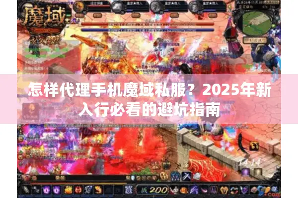怎样代理手机魔域私服？2025年新入行必看的避坑指南