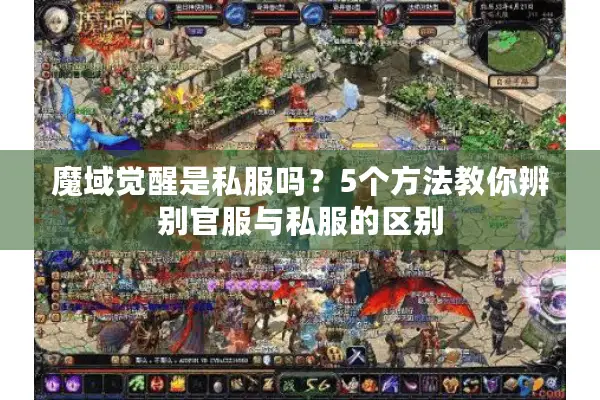 魔域觉醒是私服吗？5个方法教你辨别官服与私服的区别