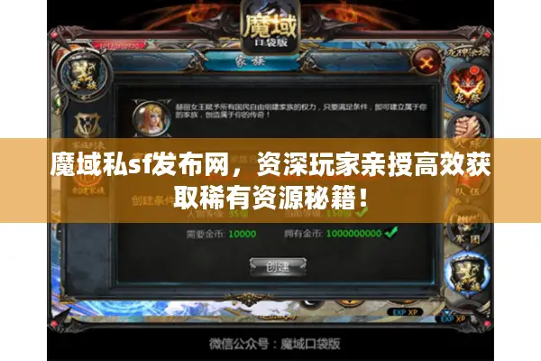 魔域私sf发布网，资深玩家亲授高效获取稀有资源秘籍！