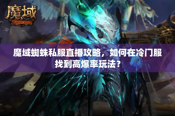 魔域蜘蛛私服直播攻略，如何在冷门服找到高爆率玩法？