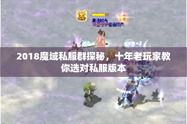 2018魔域私服群探秘，十年老玩家教你选对私服版本