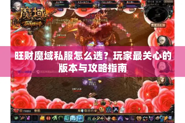 旺财魔域私服怎么选？玩家最关心的版本与攻略指南