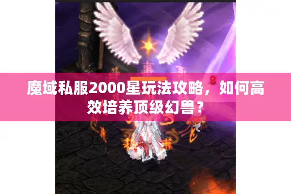 魔域私服2000星玩法攻略，如何高效培养顶级幻兽？