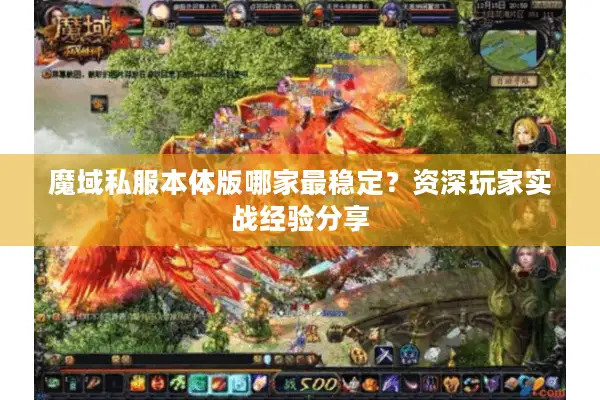 魔域私服本体版哪家最稳定？资深玩家实战经验分享