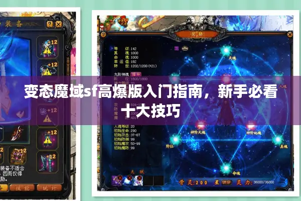 变态魔域sf高爆版入门指南,新手必看十大技巧 变态魔域sf高爆版入门指南,新手必看十大技巧
