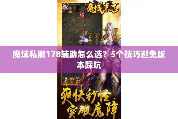 魔域私服178辅助怎么选？5个技巧避免版本踩坑