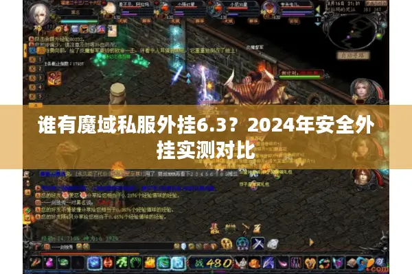 谁有魔域私服外挂6.3?2024年安全外挂实测对比 谁有魔域私服外挂6.3?2024年安全外挂实测对比