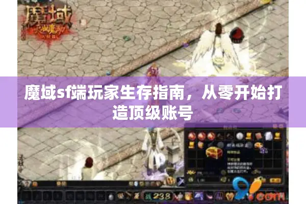 魔域sf端玩家生存指南，从零开始打造顶级账号