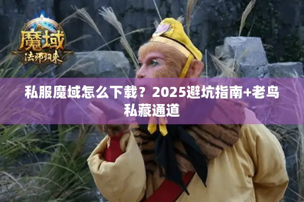 私服魔域怎么下载？2025避坑指南+老鸟私藏通道