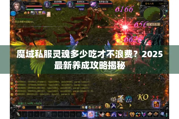 魔域私服灵魂多少吃才不浪费？2025最新养成攻略揭秘