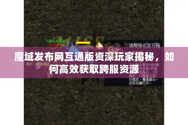 魔域发布网互通版资深玩家揭秘，如何高效获取跨服资源