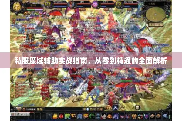 私服魔域辅助实战指南，从零到精通的全面解析