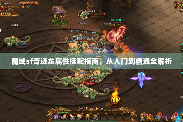 魔域sf奇迹龙属性搭配指南，从入门到精通全解析