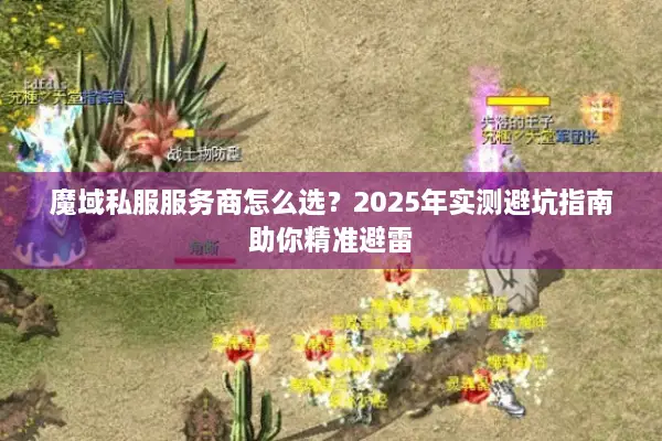 魔域私服服务商怎么选？2025年实测避坑指南助你精准避雷