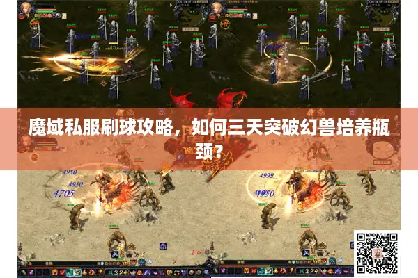 魔域私服刷球攻略，如何三天突破幻兽培养瓶颈？