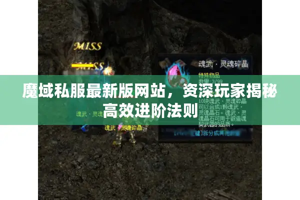魔域私服最新版网站，资深玩家揭秘高效进阶法则