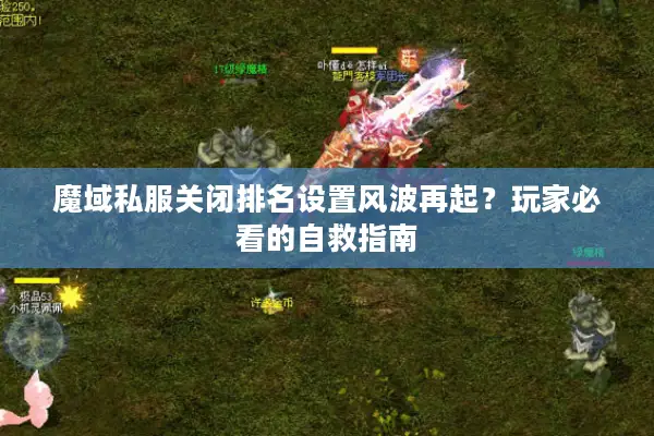 魔域私服关闭排名设置风波再起？玩家必看的自救指南