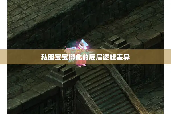 私服宝宝孵化的底层逻辑差异