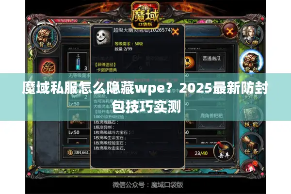 魔域私服怎么隐藏wpe？2025最新防封包技巧实测