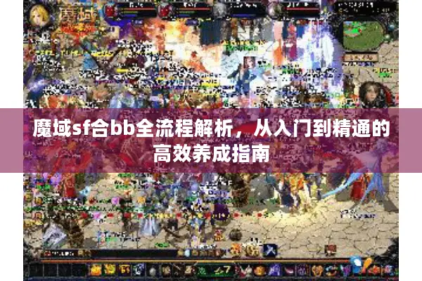 魔域sf合bb全流程解析，从入门到精通的高效养成指南