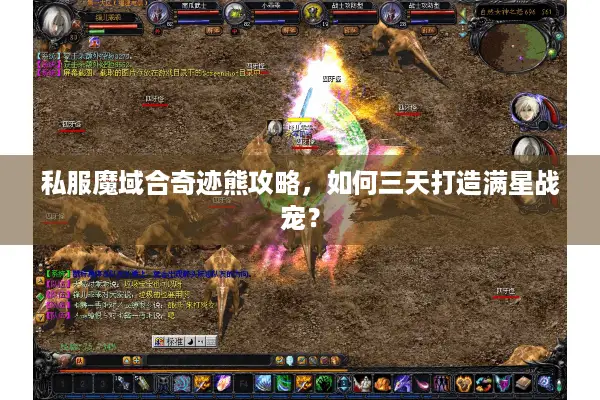 私服魔域合奇迹熊攻略，如何三天打造满星战宠？