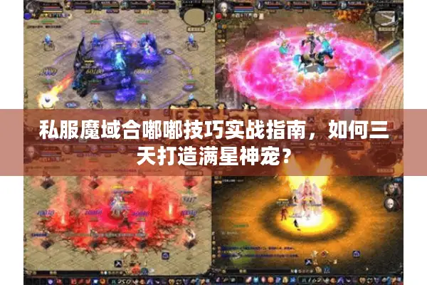 私服魔域合嘟嘟技巧实战指南，如何三天打造满星神宠？