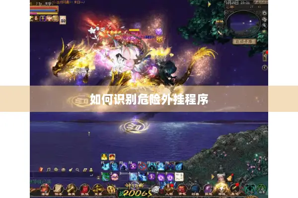 如何识别危险外挂程序