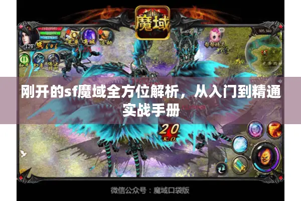 刚开的sf魔域全方位解析，从入门到精通实战手册