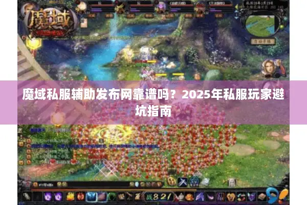 魔域私服辅助发布网靠谱吗？2025年私服玩家避坑指南