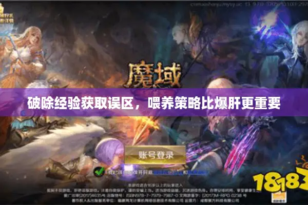 破除经验获取误区，喂养策略比爆肝更重要