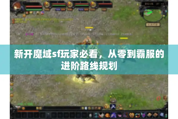 新开魔域sf玩家必看，从零到霸服的进阶路线规划