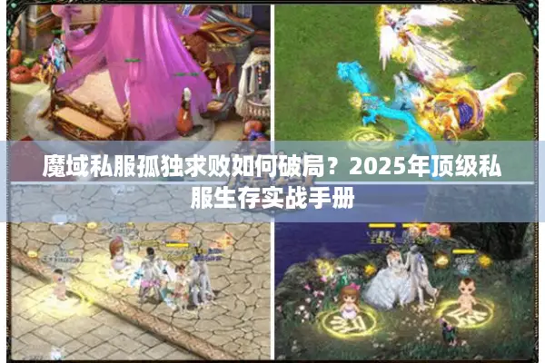 魔域私服孤独求败如何破局？2025年顶级私服生存实战手册