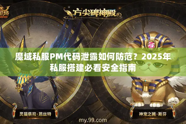 魔域私服PM代码泄露如何防范？2025年私服搭建必看安全指南