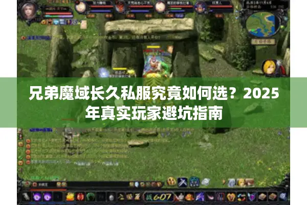 兄弟魔域长久私服究竟如何选?2025年真实玩家避坑指南 兄弟魔域长久私服究竟如何选?2025年真实玩家避坑指南