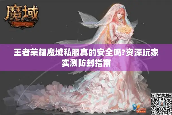 王者荣耀魔域私服真的安全吗?资深玩家实测防封指南